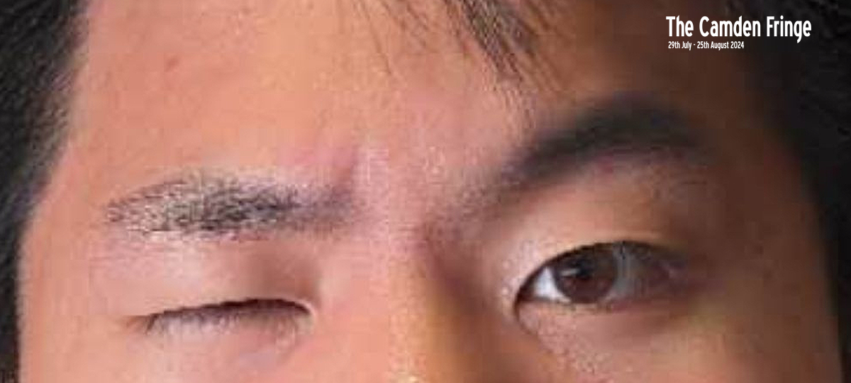 Fred Tu: Overnight Sensation