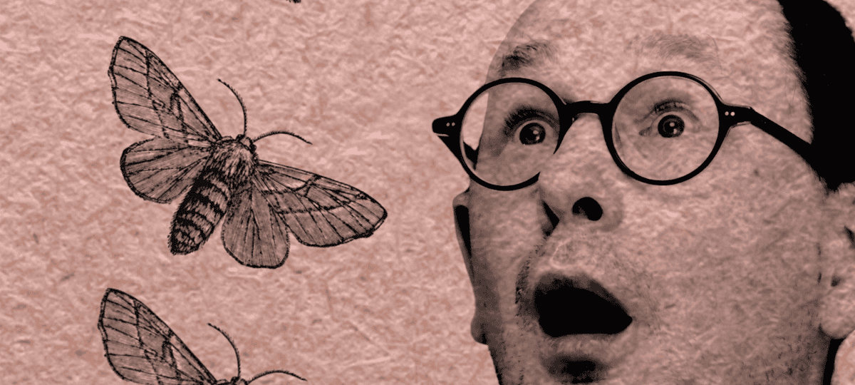 Michael Brunström Sings Ten Songs About Moths
