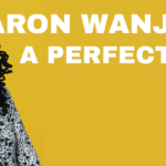 Sharon Wanjohi: A Perfect Life (WIP)